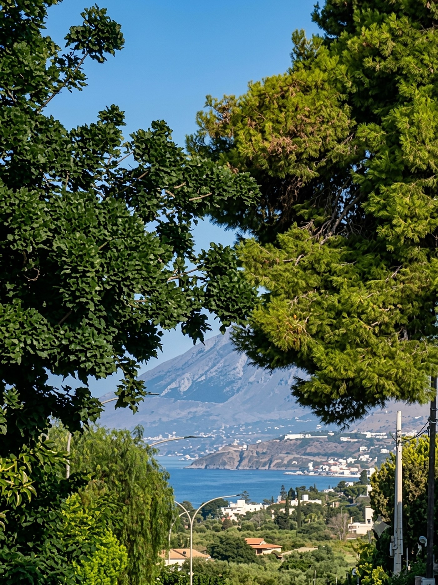 Il golfo tra i pini